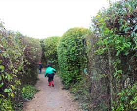 The Tangled Maze & Mistydowns Nursery - Taree Accommodation 1
