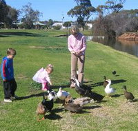 Roy Little Park Merredin - Taree Accommodation