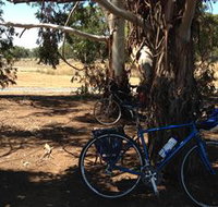 Murchison Rail Trail - Taree Accommodation