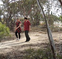 Tamma Parkland - Taree Accommodation