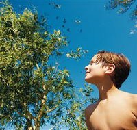 Bushwalking on Keswick Island