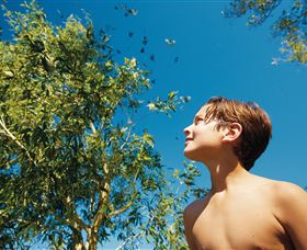 Bushwalking On Keswick Island - Taree Accommodation 0