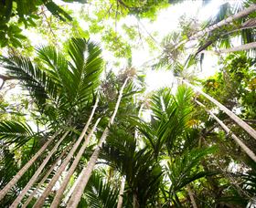 Bushwalking On Keswick Island - Taree Accommodation 1