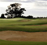 Black Bull Golf Club - Taree Accommodation