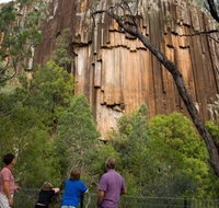 Sawn Rocks walking track - Taree Accommodation