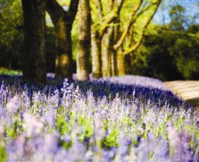 Duneira, Mt Macedon - Taree Accommodation 4