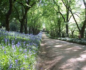 Duneira, Mt Macedon - Taree Accommodation 3