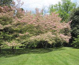 Duneira, Mt Macedon - Taree Accommodation 7