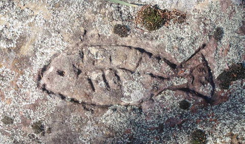 Terry Hie Hie Aboriginal Area - Taree Accommodation 3