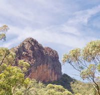 Green Camp - Taree Accommodation