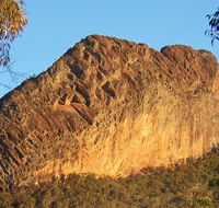 Kaputar scenic drive - Taree Accommodation