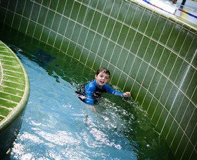 Oasis Regional Aquatic Centre - Taree Accommodation 1