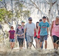 Winton Wetlands Reserve - Taree Accommodation