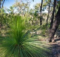 Brisbane Ranges National Park - Taree Accommodation