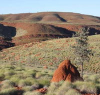 Camel Trail Millstream-Chichester National Park - Taree Accommodation