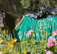 Living Legends The International Home of Rest for Champion Horses - Taree Accommodation
