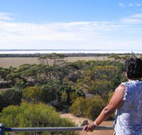 Lake Grace Lookout - Taree Accommodation