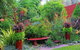 Out Of Town Nursery And Humming Garden - thumb 0