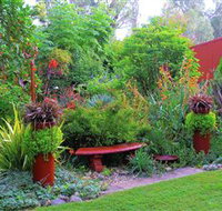 Out of Town Nursery and Humming Garden - Taree Accommodation