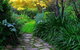 Out Of Town Nursery And Humming Garden - thumb 2