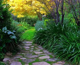 Out Of Town Nursery And Humming Garden - Taree Accommodation 2