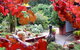 Out Of Town Nursery And Humming Garden - thumb 1