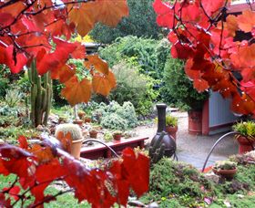 Out Of Town Nursery And Humming Garden - Taree Accommodation 1