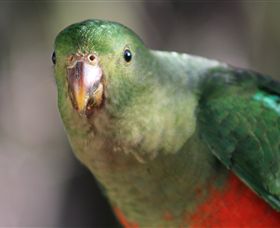 Out Of Town Nursery And Humming Garden - Taree Accommodation 3