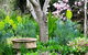 Out Of Town Nursery And Humming Garden - thumb 4