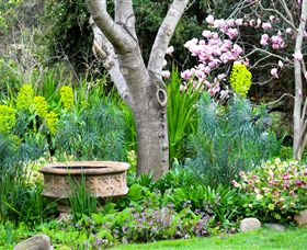 Out Of Town Nursery And Humming Garden - Taree Accommodation 4
