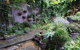 Out Of Town Nursery And Humming Garden - thumb 6
