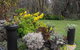 Out Of Town Nursery And Humming Garden - thumb 5