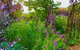 Out Of Town Nursery And Humming Garden - thumb 7