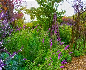 Out Of Town Nursery And Humming Garden - Taree Accommodation 7