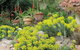 Out Of Town Nursery And Humming Garden - thumb 8