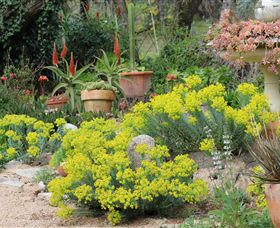 Out Of Town Nursery And Humming Garden - Taree Accommodation 8