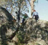 Mount Samaria State Park - Taree Accommodation