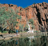 Python Pool - Taree Accommodation