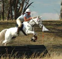 National Equestrian Centre - Kerrabee - Taree Accommodation