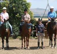 Forest Park Riding and Equitation School - Taree Accommodation