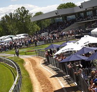 Thoroughbred Park Canberra Racing Club - Horse Racing in the Nations Capital - Taree Accommodation