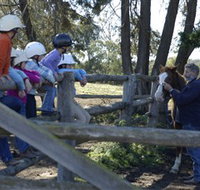 Harlow Park Horse Riding - Taree Accommodation