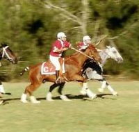 Morgan Park Warwick - Taree Accommodation