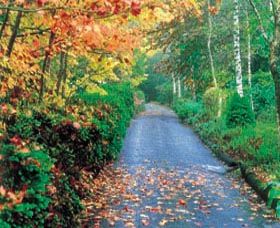 Mount Wilson And Mount Irvine - Taree Accommodation 0