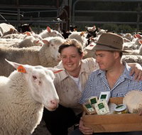 Prom Country Cheese - Taree Accommodation