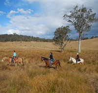 Chapman Valley Horse Riding - Taree Accommodation