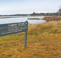 Lagoon Circuit walking track - Taree Accommodation