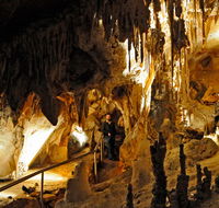 Wollondilly Cave - Taree Accommodation