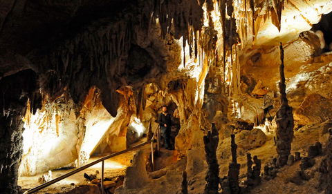 Wollondilly Cave - Taree Accommodation 0