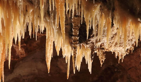 Wollondilly Cave - Taree Accommodation 1